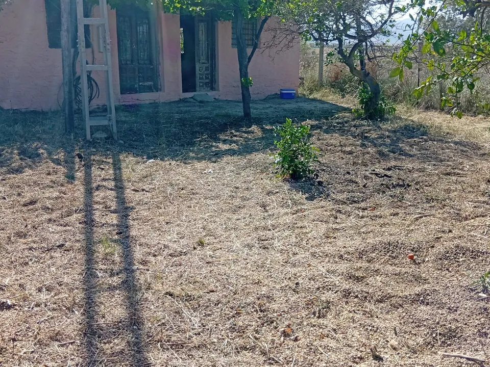 Cortijo in Turre, Almeria - foto 3